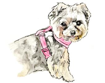 340x270 Custom Dog Drawing Gift Idea Personalized Pet Portrait Cat Etsy