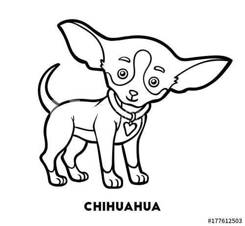 500x460 Coloring Book Dog Dogs Day Out Activity Book A Drawing