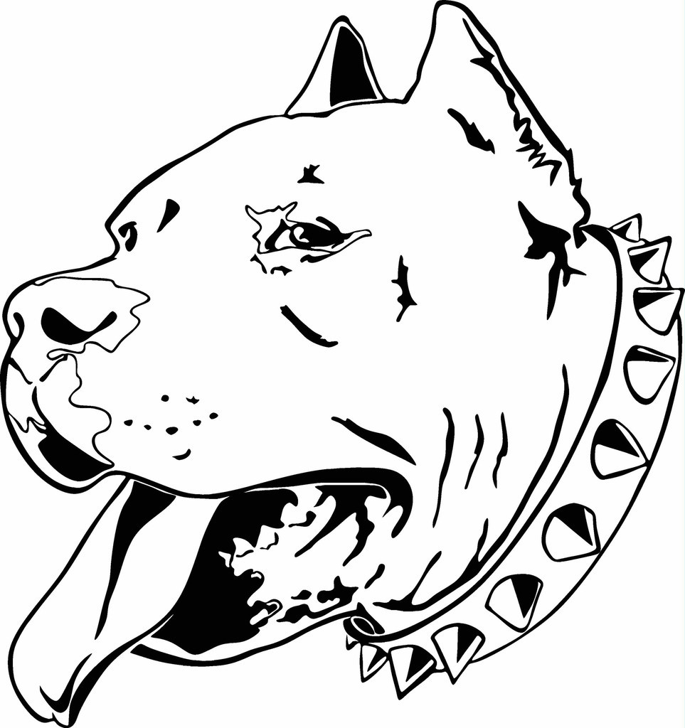 963x1024 Pitbull Coloring Pages Pitbull Dog Drawings In Pencil Coloring