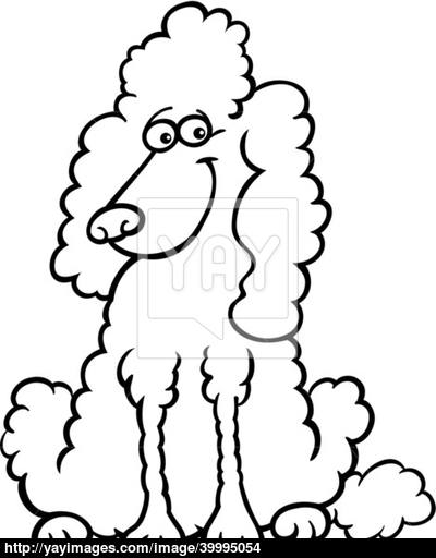 400x512 Poodle Dog Cartoon For Coloring Book Vector