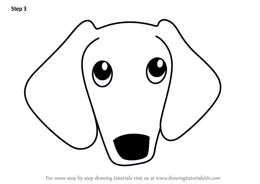 848x602 learn how to draw a wiener dog face for kids