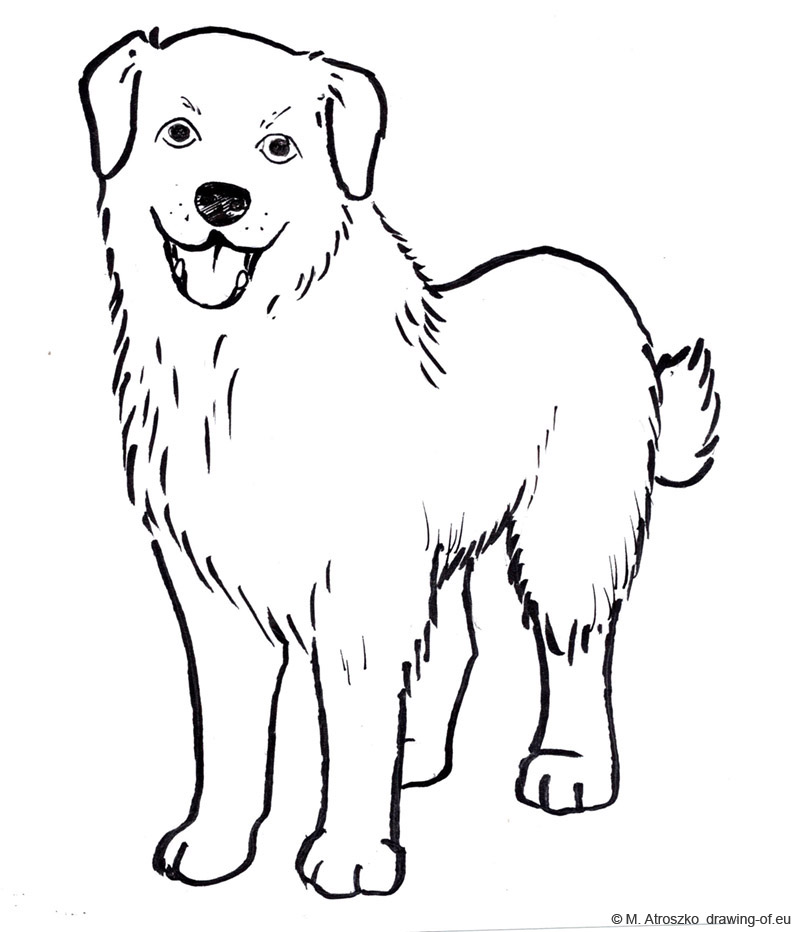 Dog Drawing For Kids | Free download on ClipArtMag