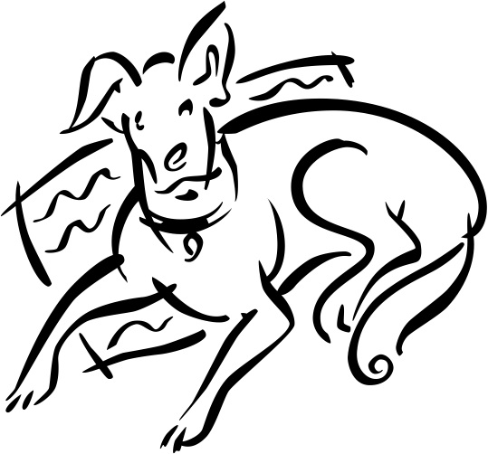 539x502 Aikuq Sapaka