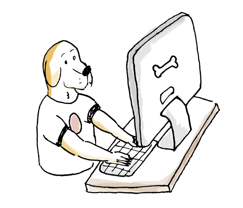 800x687 Strelka Games