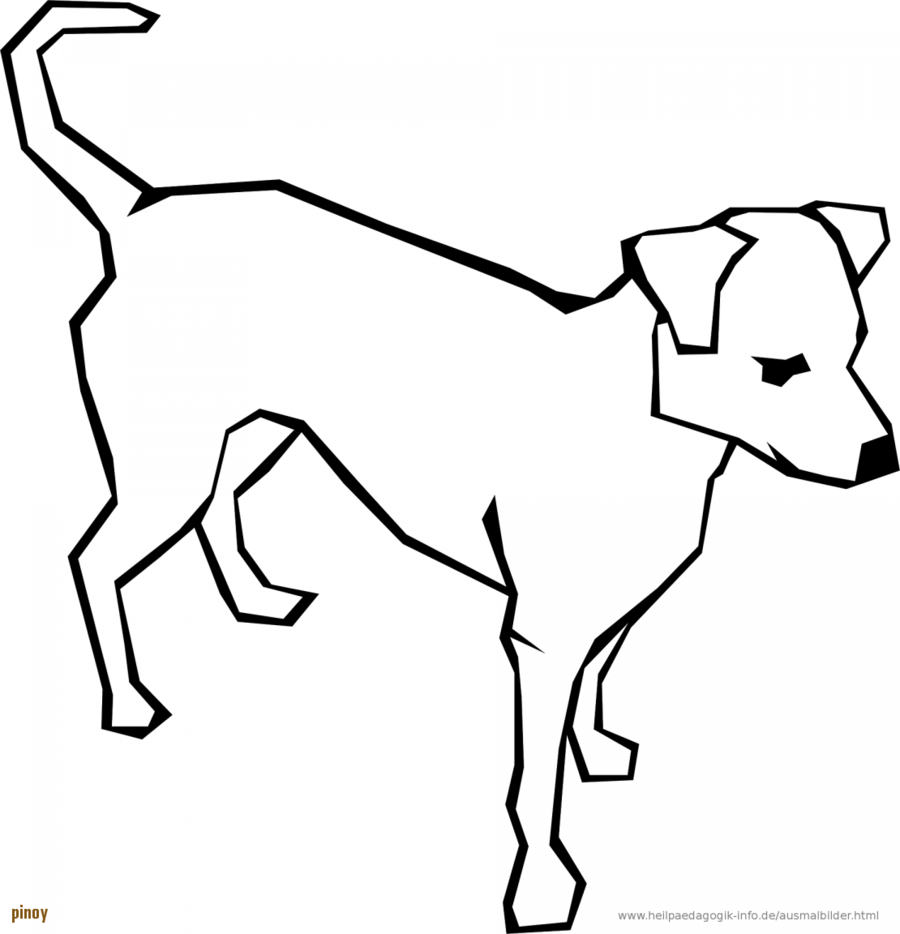 900x934 Dog, Drawing, Graphics, Transparent Png Image Clipart Free Download
