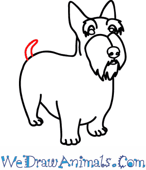 300x350 How To Draw A Scottie Dog