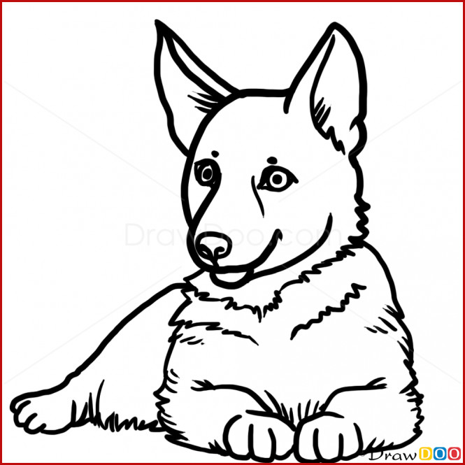 665x665 Striking Design Of Simple Dog Drawing Collection Of Drawing