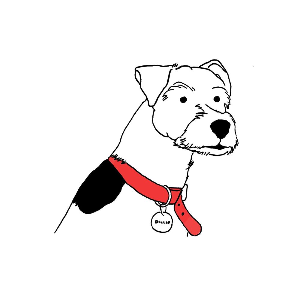 960x960 Pictures Of Dog Drawings