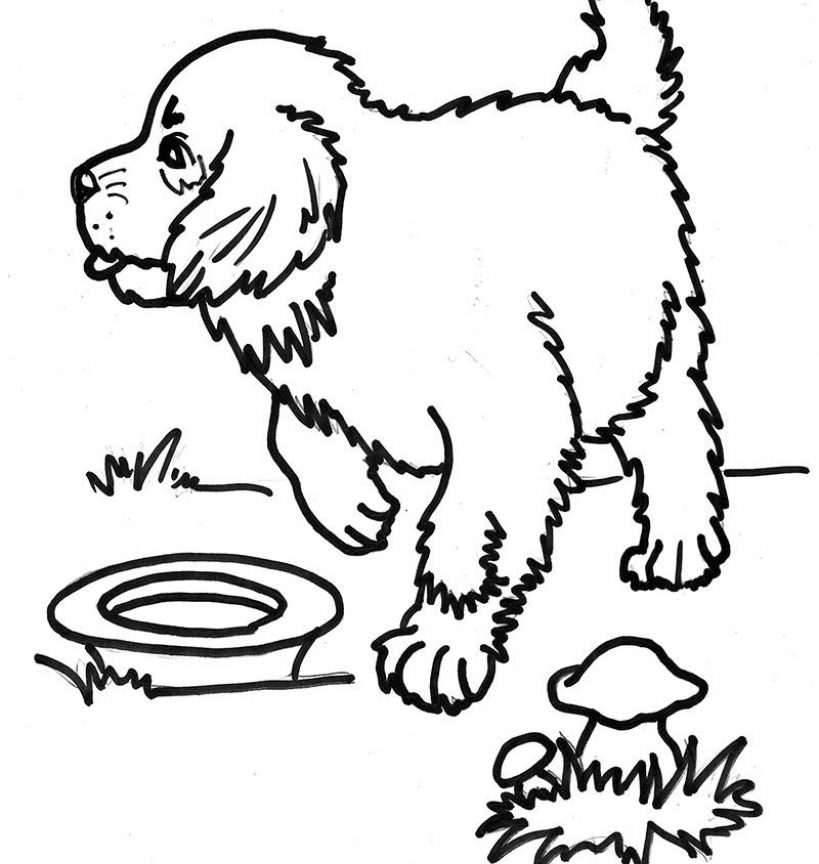 819x864 St Bernard Coloring Pages Saint Sheets Colouring Dog Magnificent