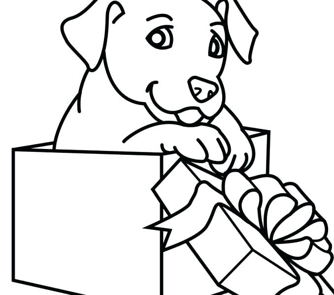 678x600 Dog Drawings For Coloring