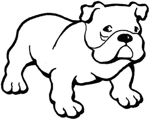 605x486 Bull Dog Drawings English Bulldog Drawing Easy