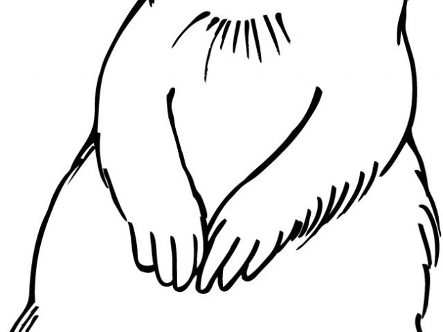 640x480 Prairie Dogs Drawing Easy Free Dog Clip Download Free Clip Art