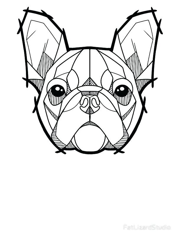 600x800 Bull Dog Drawing