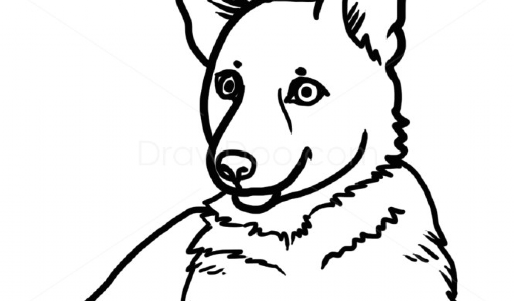 1024x600 Dog Drawing Guide How To Draw Puppy German Shepherd Dogs