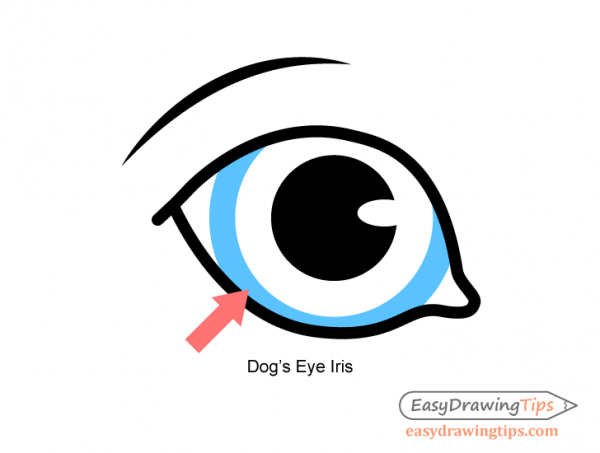 600x453 Dog Eyes Drawing