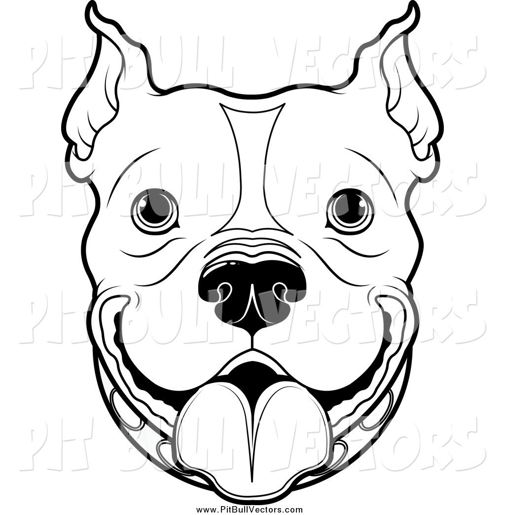 1024x1044 Dog Face Cartoon Drawing Sketches