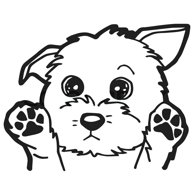 800x800 Cartoon Dog Coloring Pages