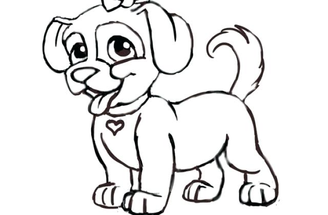 640x420 Easy To Draw Dog Face