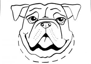 300x210 Cartoon Dog Face Drawing Easy