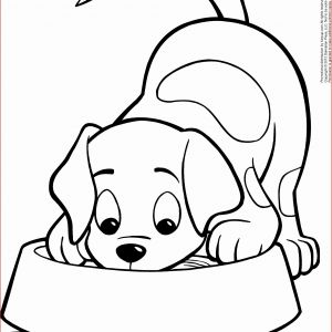 300x300 Face Coloring Pages Printable Lovely Dog Face Drawing Coloring