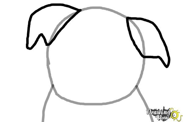 600x400 How To Draw A Dog Step
