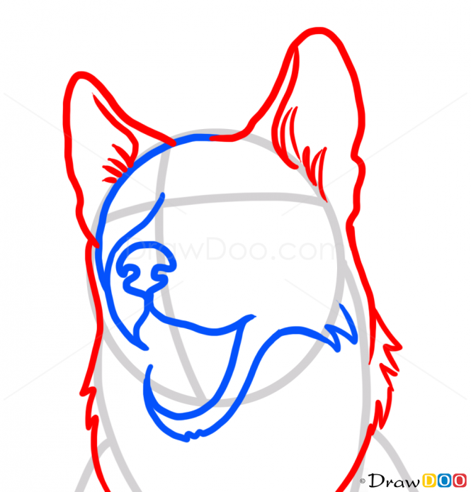 665x694 How To Draw Husky Face, Dogs And Puppies Adult Coloring Pages