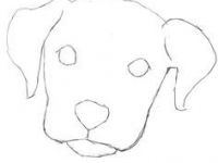 200x150 Dog Face Drawing Lovely Dog Face Drawing Beautiful Animal Drawing