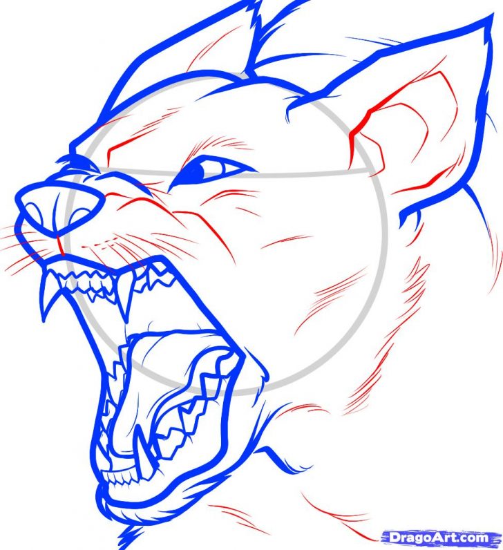 728x796 French Bulldog Face Drawing Dog Easy Step A Outline Pitbull