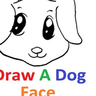 336x336 Dog Face Line Drawing Pitbull Cute Mask Easy Puppy Husky I Fertility