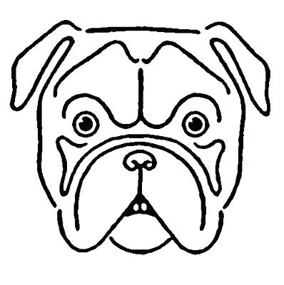 398x400 Bulldog Face Drawing Dog Face Coloring