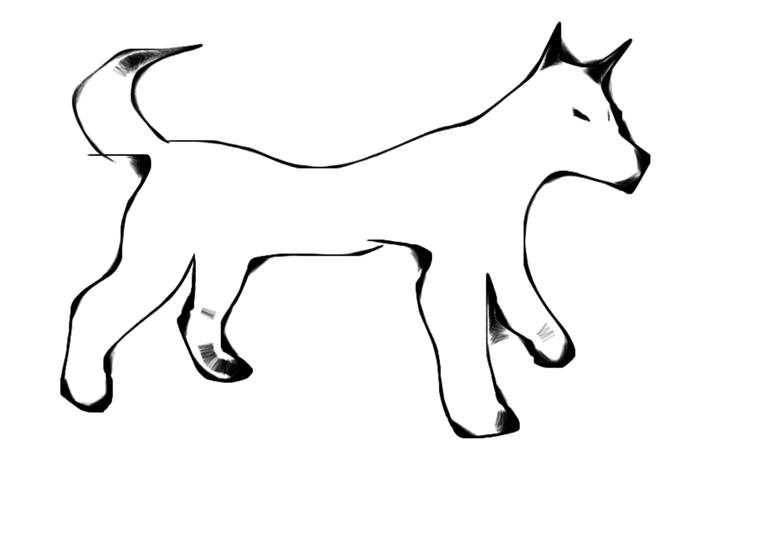 770x552 Dog Drawing