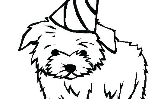 554x329 How To Draw Cute Dogs