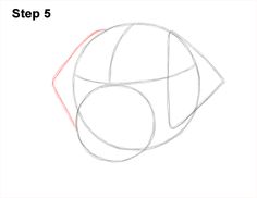 236x182 Draw Labrador Retirever Dog Head Drawings