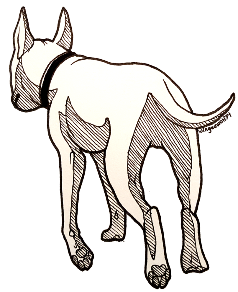 807x989 Portfolio Drawing Dog Transparent Png Clipart Free Download