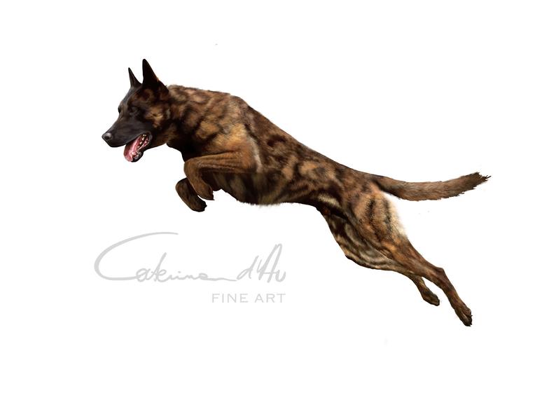794x561 Dutch Shepherd Dog Digital Drawing Realistic Digital Art Etsy