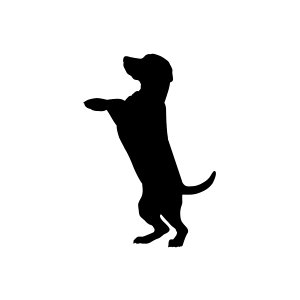 300x300 Shiba Dog Drawings Fine Art America