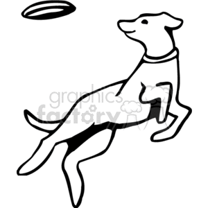 300x300 Dog Catching A Frisbee Clipart Royalty Free Clipart