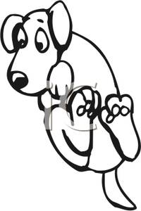 200x300 Black And White Dog Jumping