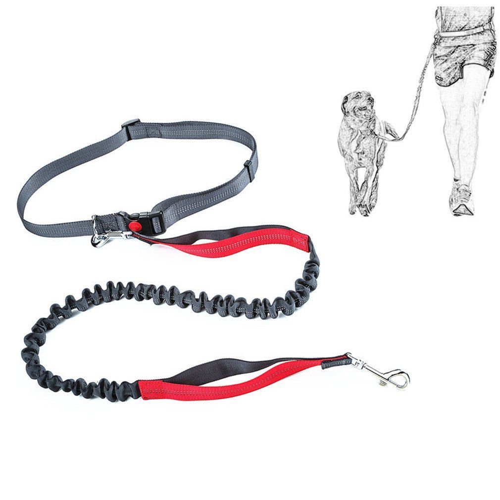 Dog Leash Drawing | Free download on ClipArtMag