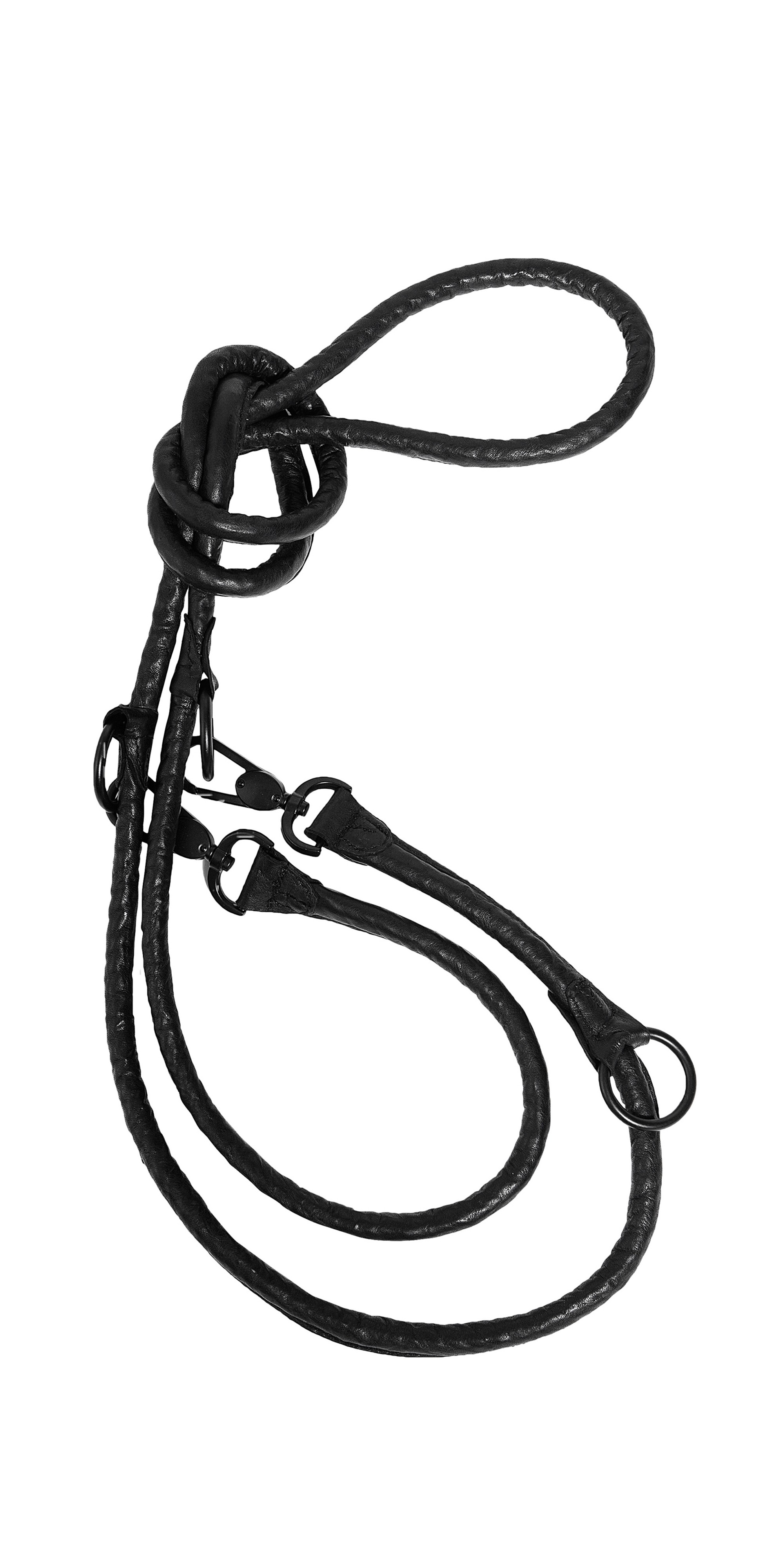 2000x4000 Barbara I Gongini