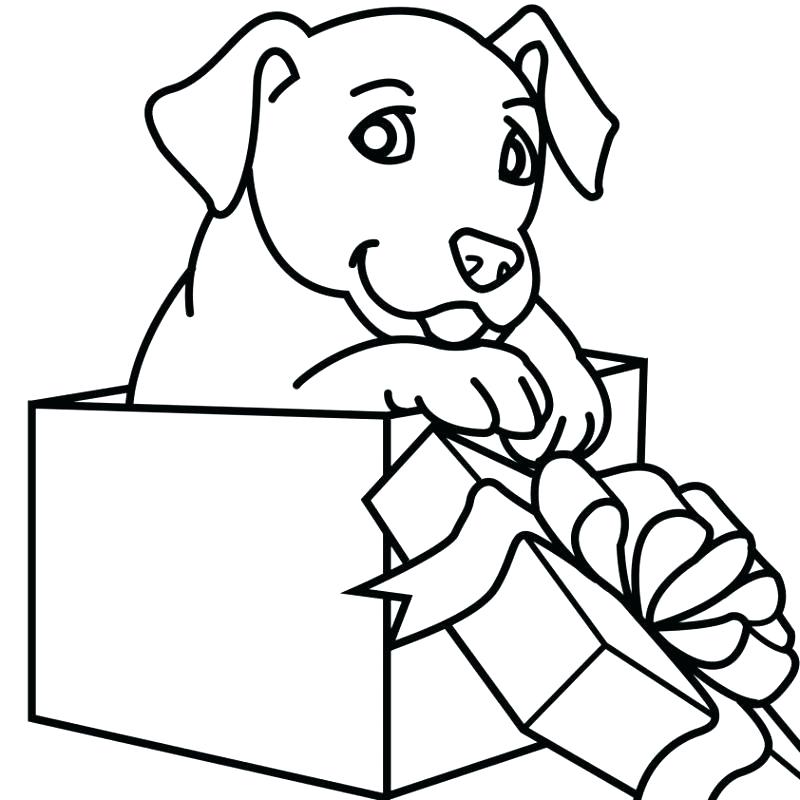 800x800 Puppy Line Drawing How To Draw A Puppy Step Labrador Puppy
