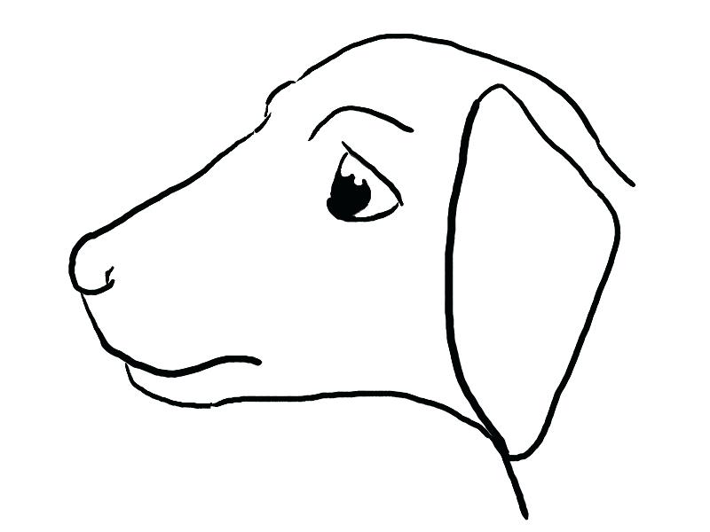 800x600 Easy Drawings Of Pitbulls Image Titled Draw A Step Easy Draw