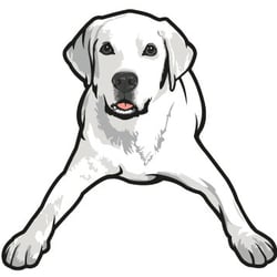 250x250 Tucker Pup's Pet Resort