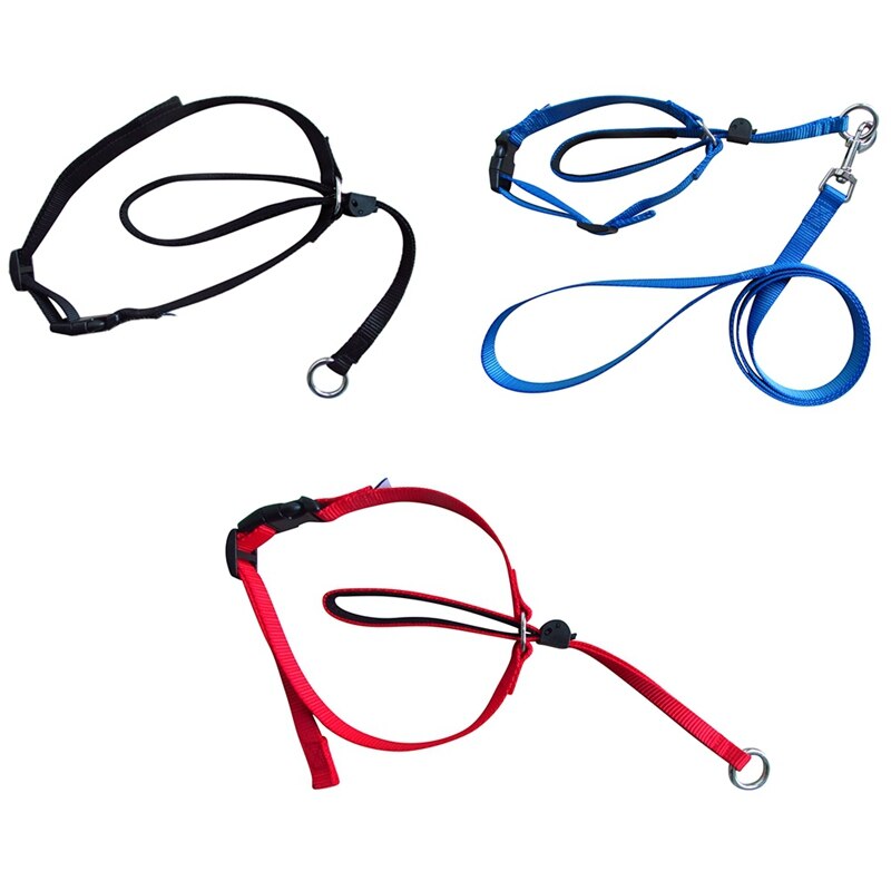 800x800 Detail Feedback Questions About Dog Nylon Leash Adjustable Pet