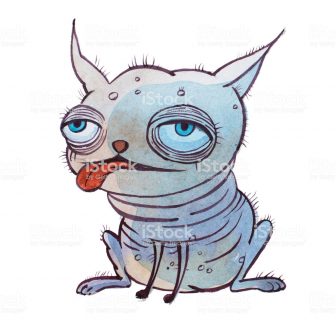 336x336 Eye Drawing Tutorial Realistic Dog Outline Cartoon Colour Pictures