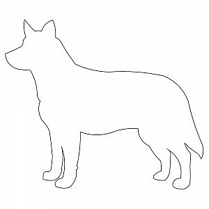 300x300 Dog Outline