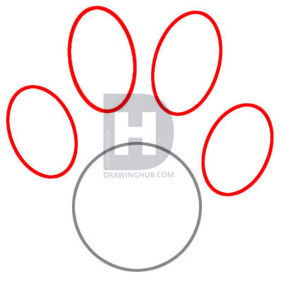 398x398 Draw A Paw Print, Step