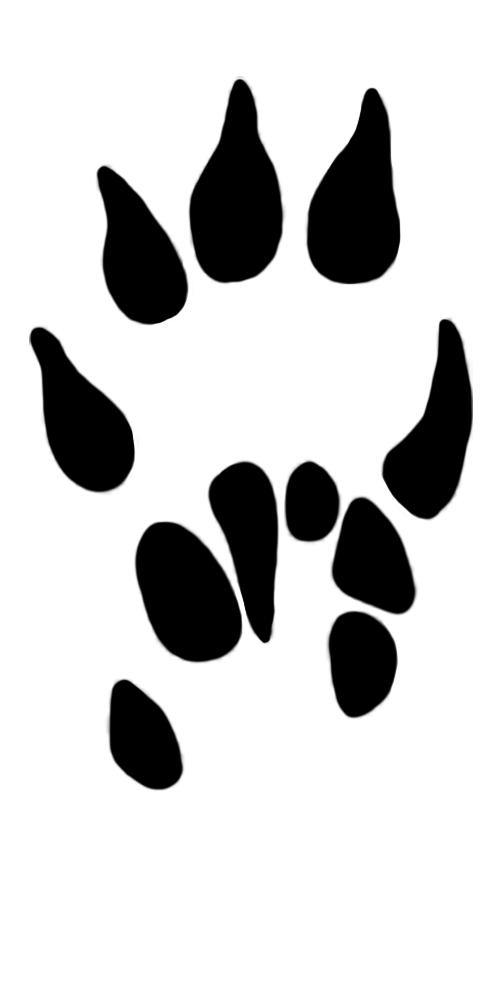 502x1004 Drawing Paws Design Huge Freebie! Download For Powerpoint
