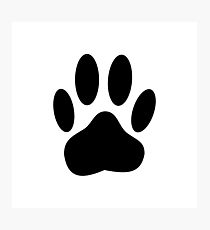 210x230 Black Dog Paws Drawing Photographic Prints Redbubble