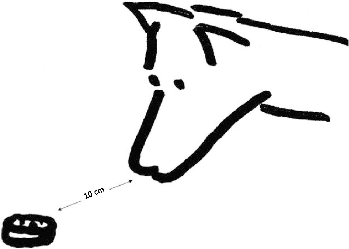 1333x953 Do Dogs Know Themselves